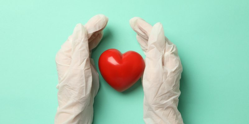 Particular Probiotics Can Help Maintain a Healthy Heart